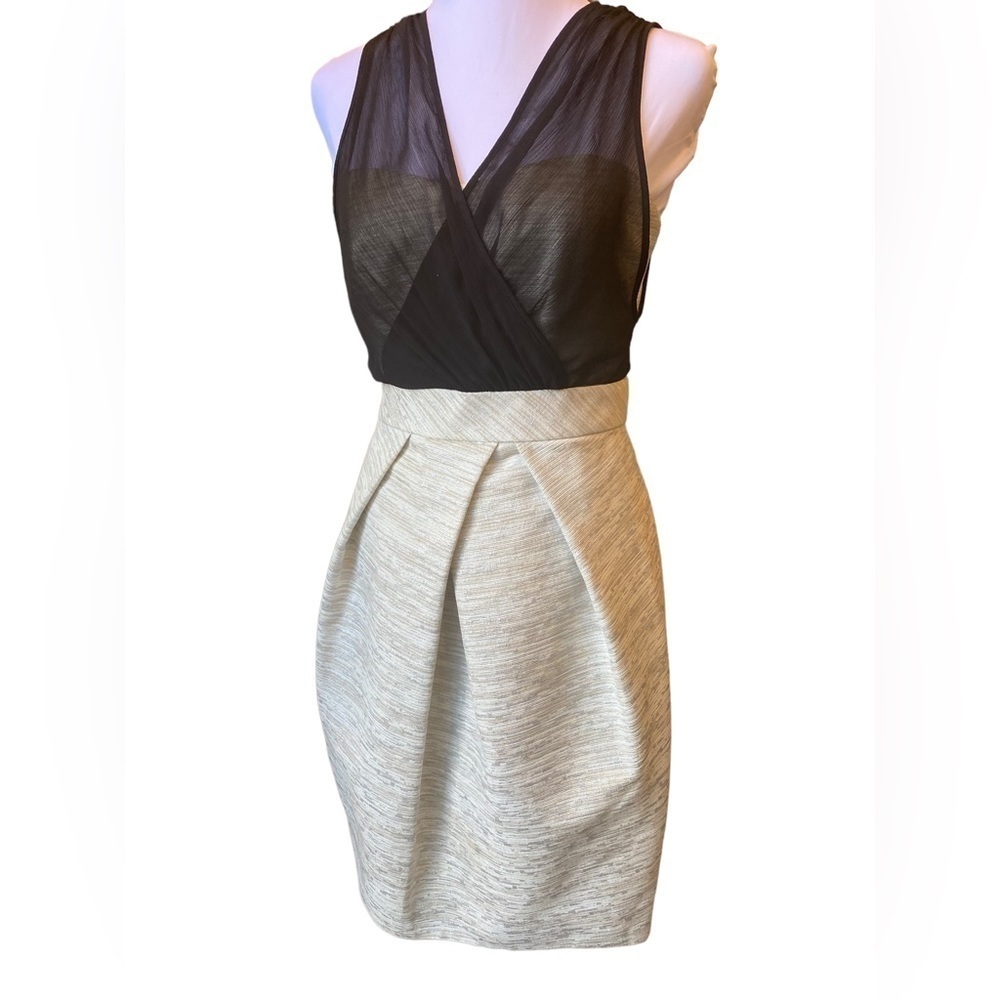 Max and Cleo Dress Size 2 Y2K Mini Sheer Sheath Cocktail Mesh Feminine Party